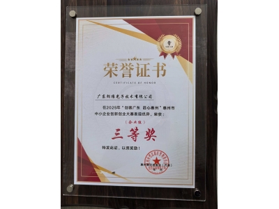 Lightwit Photonics Wins Third Prize at Maker Guangdong Innovation Competition